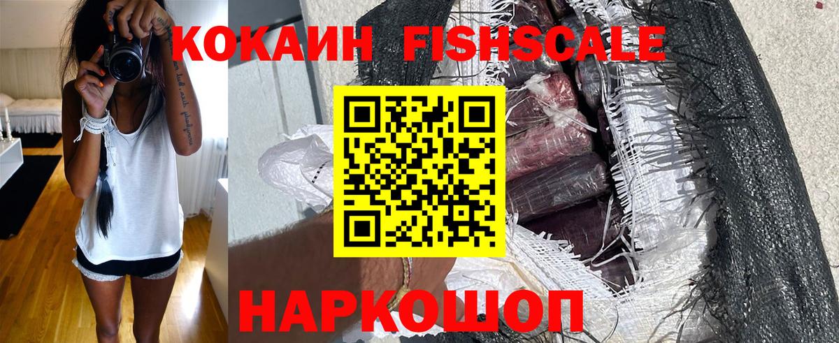 COCAIN  COCAIN Fish Scale  Вход с VPN  Донецк  COCAIN VHQ 