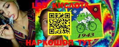 гидропоника Краснодар