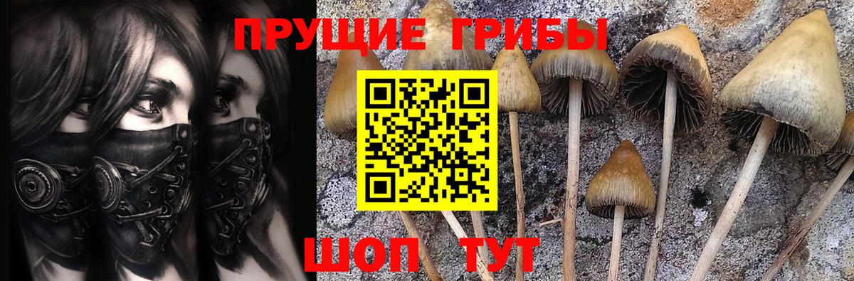 Псилоцибиновые грибы ЛСД Донецк