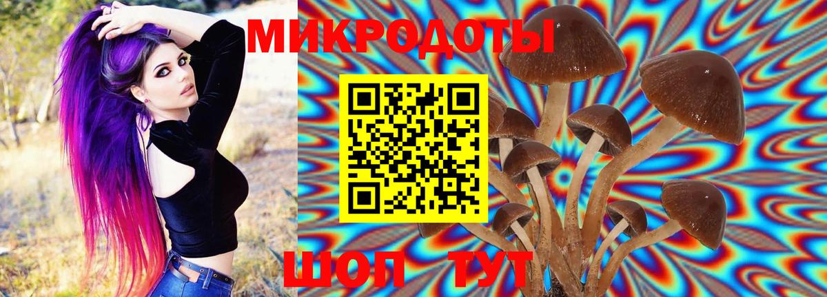 Псилоцибиновые грибы Psilocybine cubensis  Вход с VPN  Галлюциногенные грибы Magic Shrooms  как найти закладки  Донецк 